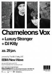 The Chameleons : The Chamaleons Vox